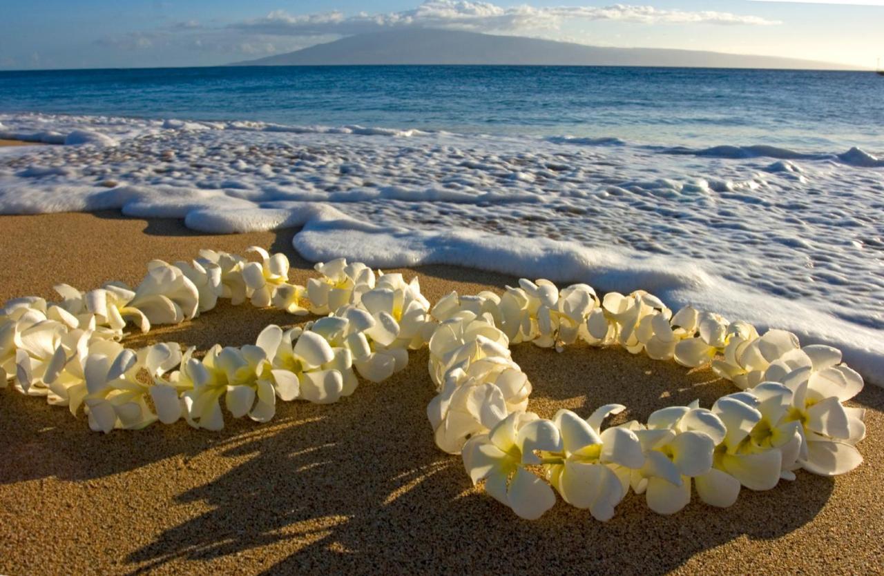 Ocean & Diamond Head View Studio At Waikiki Хонолулу Екстериор снимка